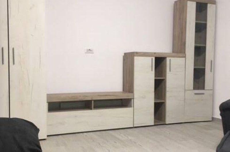 Apartament cu o camera, parter - IC Frimu - Poză 2