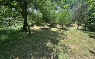 CASA 6 CAMERE TEREN 1005 MP  BUGHEA DE JOS ARGEȘ - Poză 36