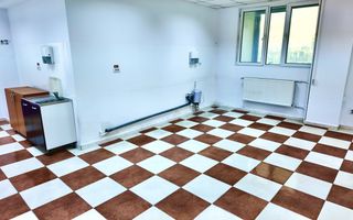 Spatii de birouri de inchiriat in zona Grozavesti - comision 0% - Poză 9