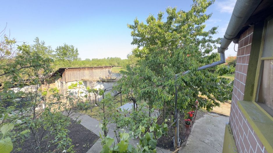 Casă 4 camere, Teren 3.862 mp Str. Traian Nr.99 - Carei - Comision 0% cumpărător - Poză 16