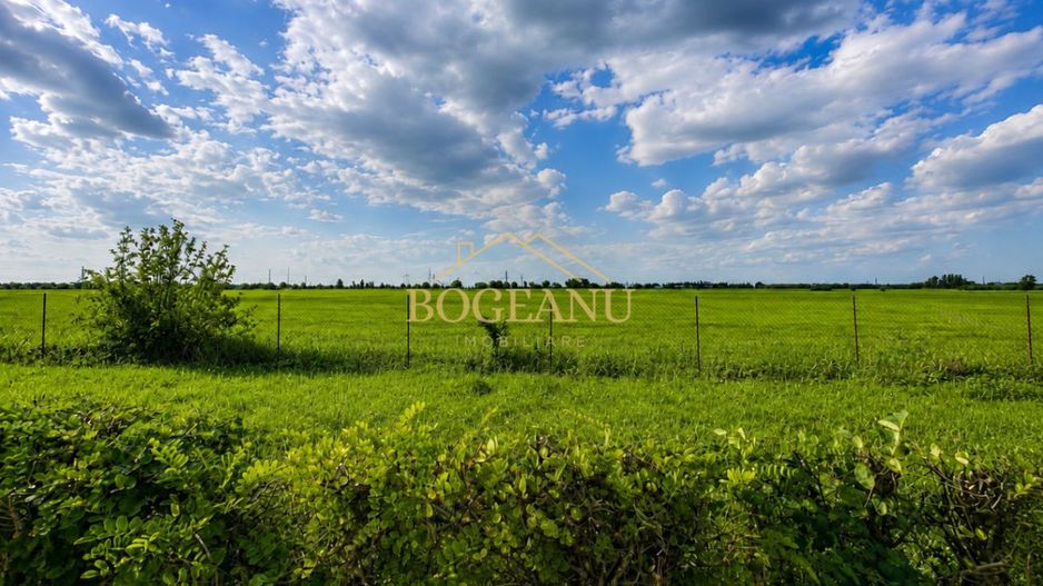 BG141-Teren-46.400 mp-Front 300 ml acces TIR | INCONTRO-Calea Sagului - Poză 5