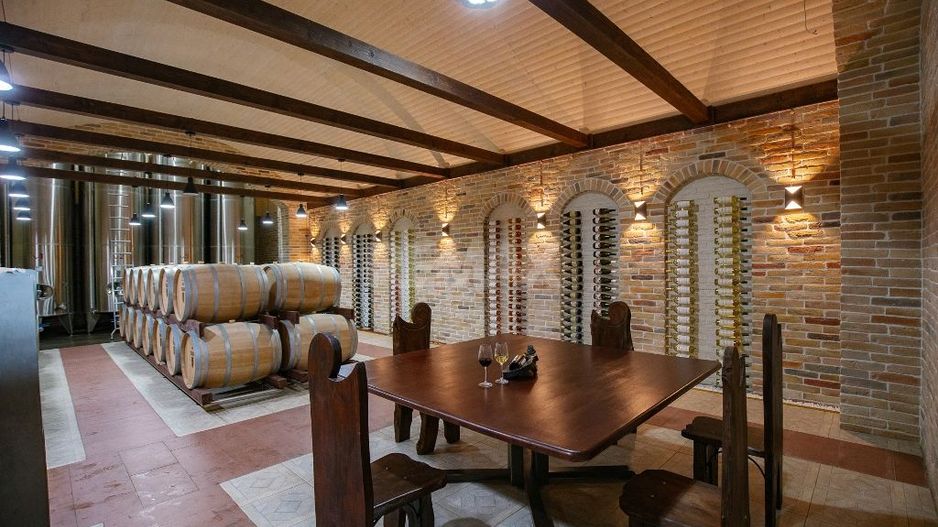 Complex Vitivinicol de Referință în Sudul Moldovei | 206 ha teren agricol | Investiție strategică - Poză 3