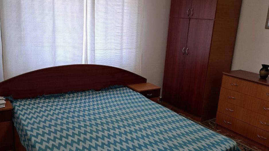 OFERTA in Băcia. Hunedoara ! Proprietate 2 case + Cabană - Poză 8