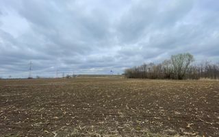 TEREN INTRAVILAN | 50 ARI | ZONA PERIFERICA RADAUTI - Poză 2