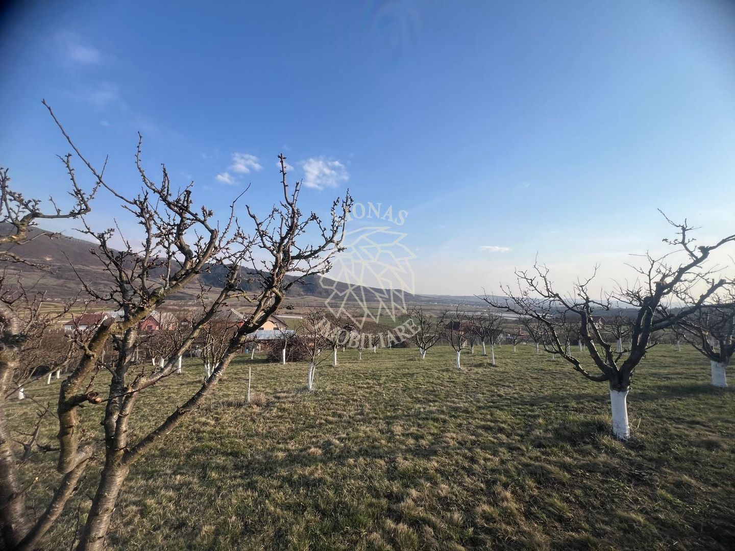 Teren 3100 mp-livada-ideal casa-Mititei - Poză 2