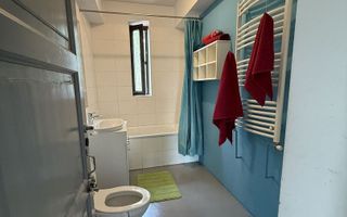Vilă cu 6 camere de închiriat | Snagov - Vlădiceasca | Pet Friendly - Poză 10