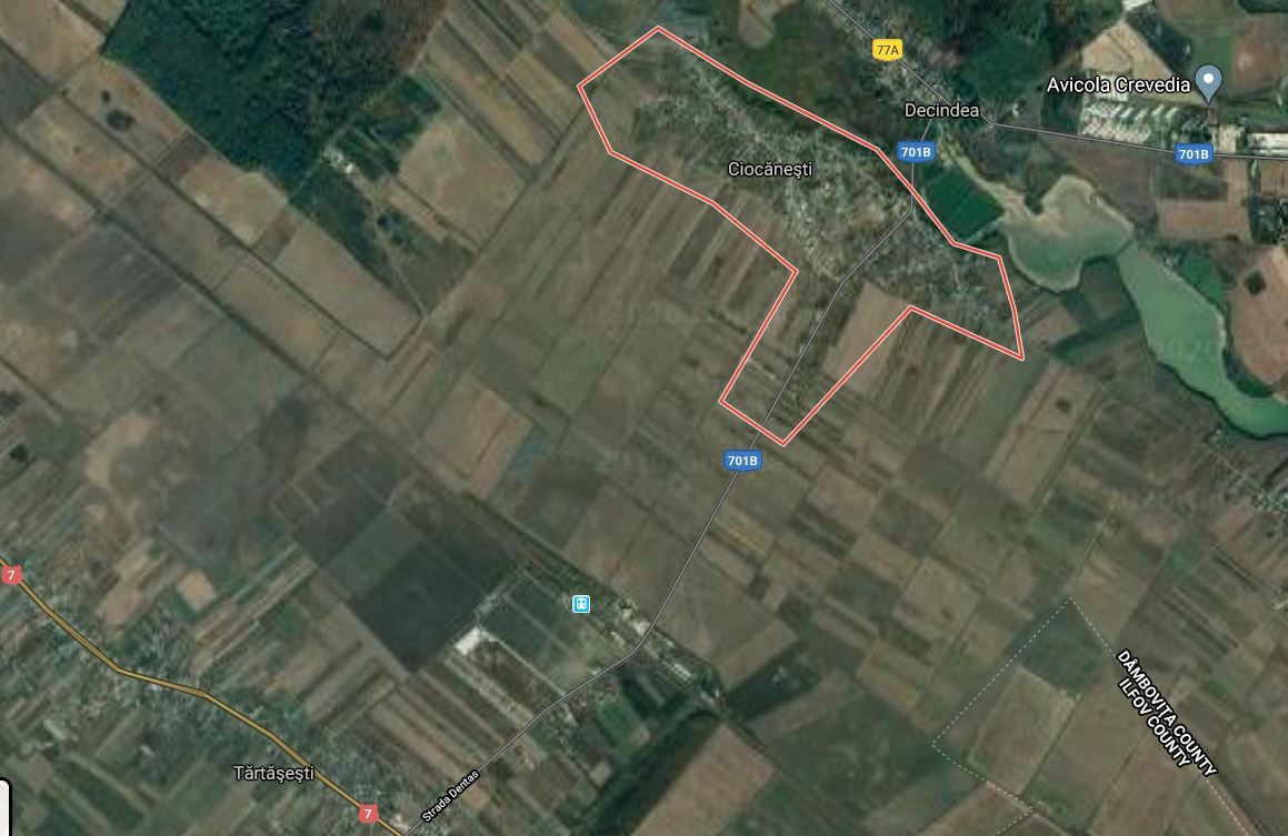 Teren Ciocanesti - Poză 3