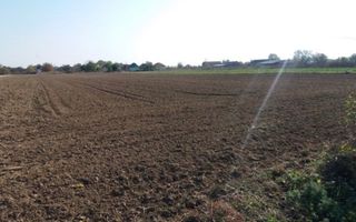 Investitie!Intravilan 55 ari capat Paulesti ( Intrare Ambud), 3.6 mf - Poză 1