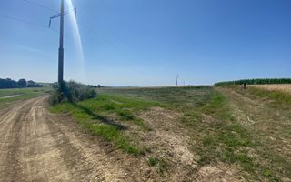 Teren Tarinca | 3400 MP | Front 24 Metri - Poză 3