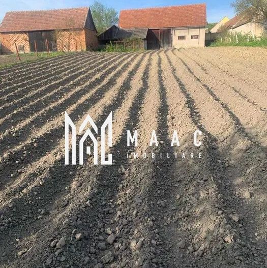 Casa Individuala I Acces Auto I Gradina I Rusi - Poză 4