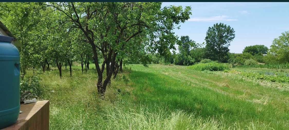 Casa si teren de vanzare - Poză 8