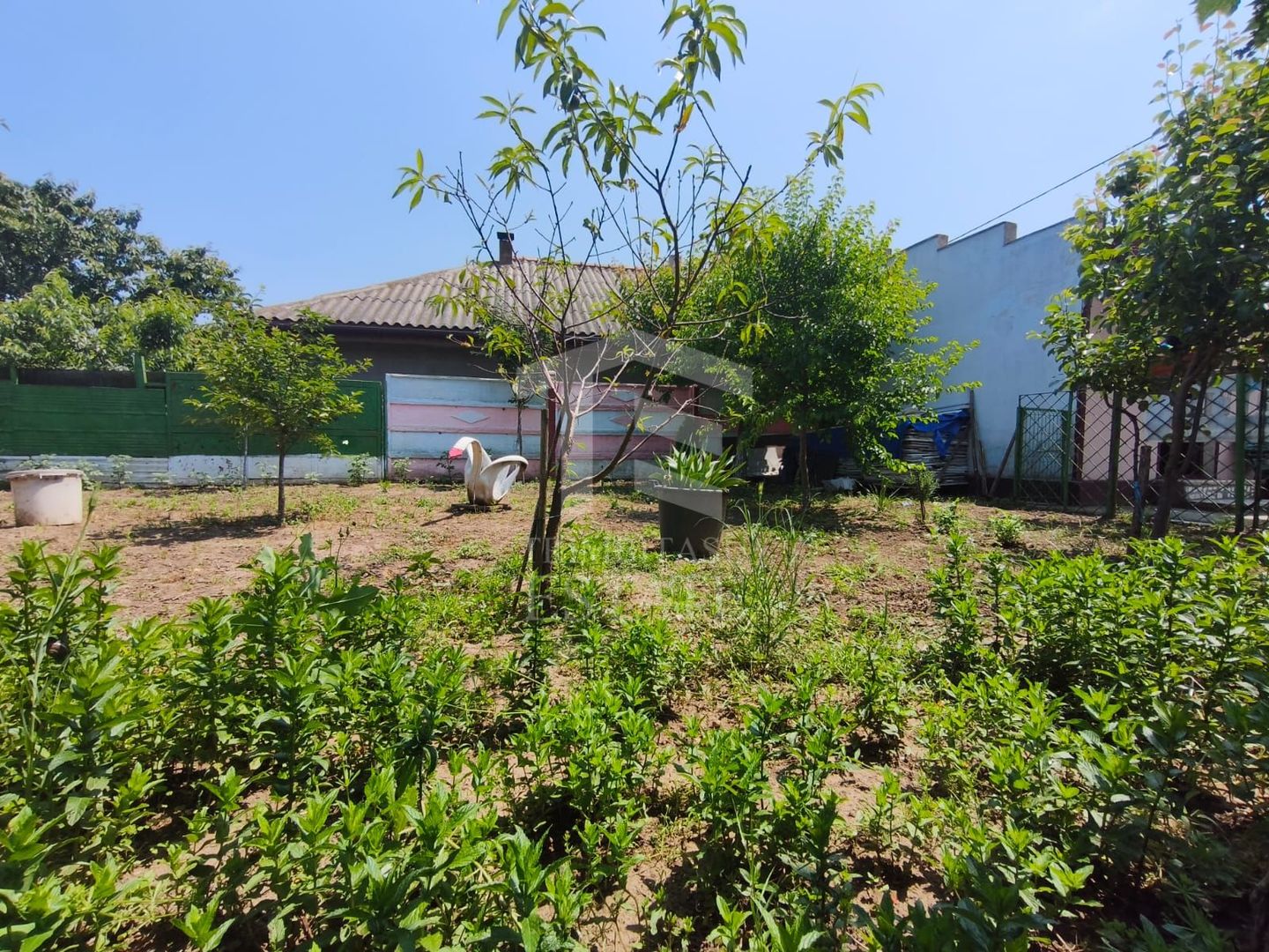 CASA  POIANA | PANOURI SOLARE | TEREN 800 MP - Poză 9