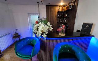 MEDEEA Vila P+1 mobilata complet si curte generoasa! - Poză 6