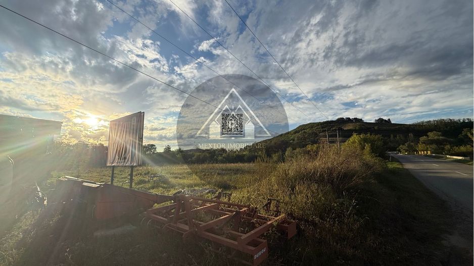 Teren extravilan Alma - Poză 4