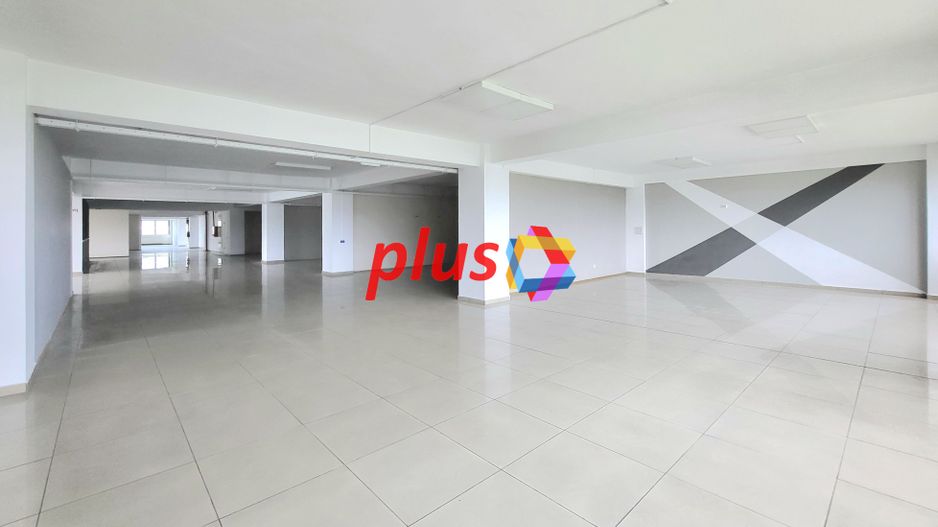 Spatiu comercial de inchiriat - 1.000 mp - Poză 12