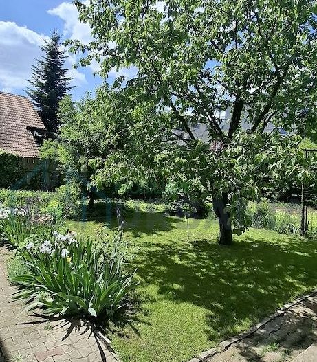Casă de vânzare în Valea Lupului – poziție excelentă, grădină și potențial comercial - Poză 8