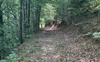 COMISION 0 20.000 MP TEREN EXTRAVILAN CU PADURE ZONA TURISTICA VISAGU VLADEASA - Poză 2