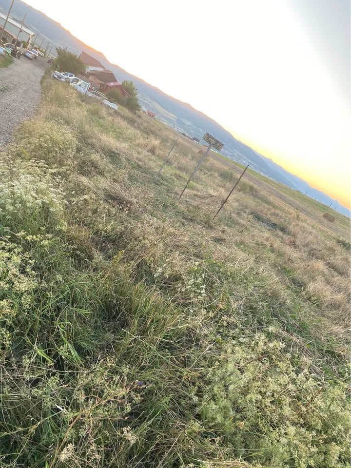 2 Parcele de vanzare in Oarda - Poză 4