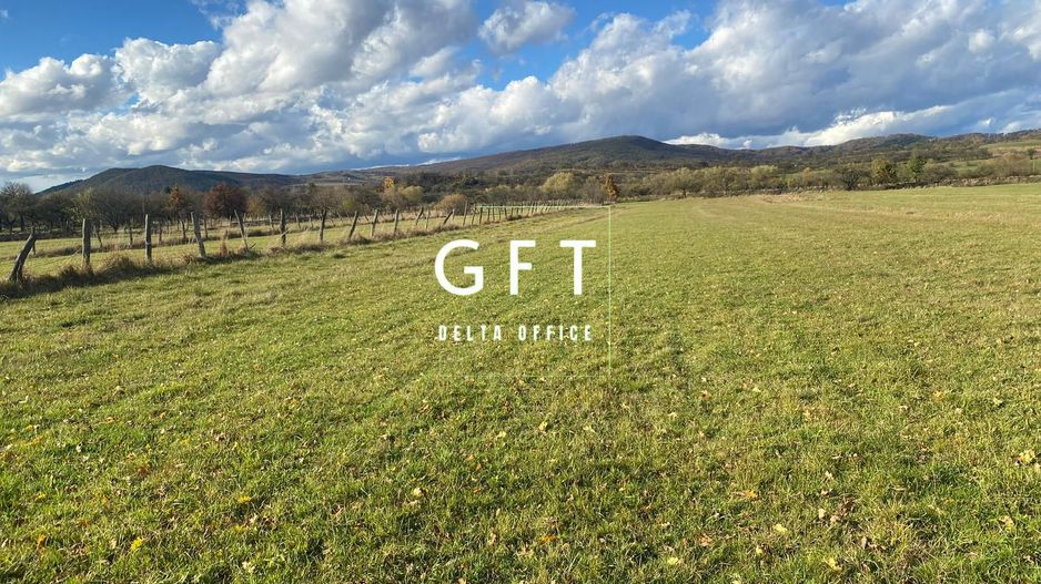 Teren extravilan 20 ari, Rusu Bargaului - Poză 3