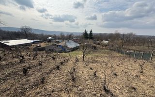 Teren intravilan Dobrovat + Casa Batraneasca - Poză 5