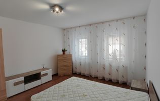 Casa traditionala singur in curte SANPETRU recent amenajata