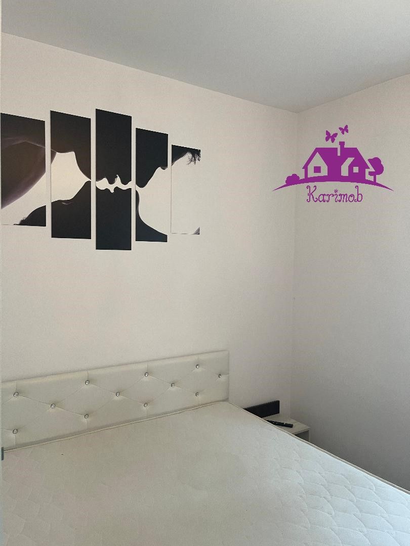 Apartament de inchiriat pe b-dul Dacia - Poză 5
