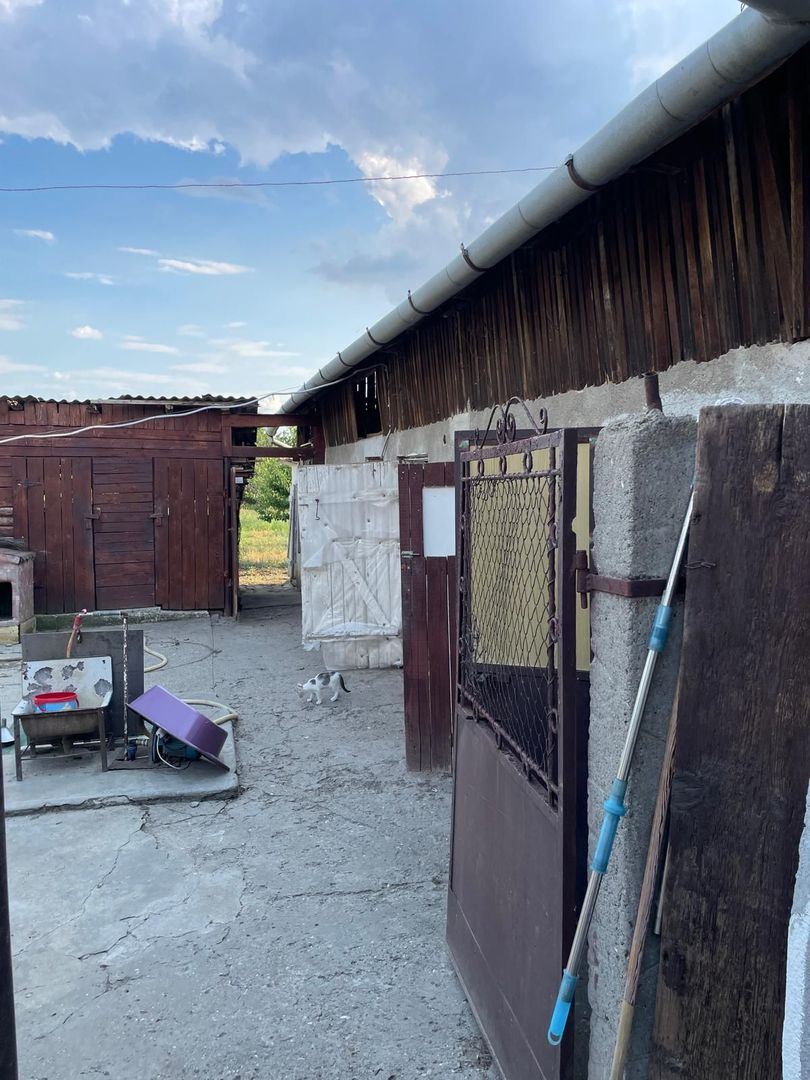 Casa parter 35 km de la Timisoara - Poză 17