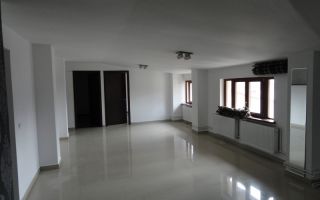 Ag BRASADAS vinde vila interbelica zona UNIRII. - Poză 21