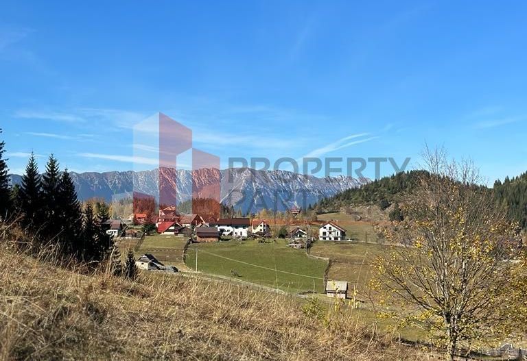 Teren Fundatica intravilan 4500 mp - Poză 6