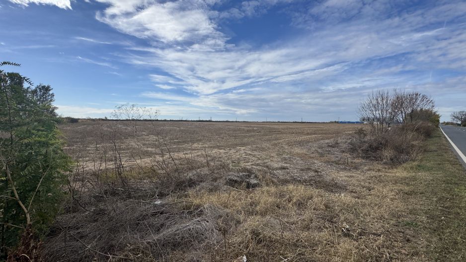 Vand Teren Extravilan Biled(zona industriala) 25.000mp,F.S la DN6 - Poză 4