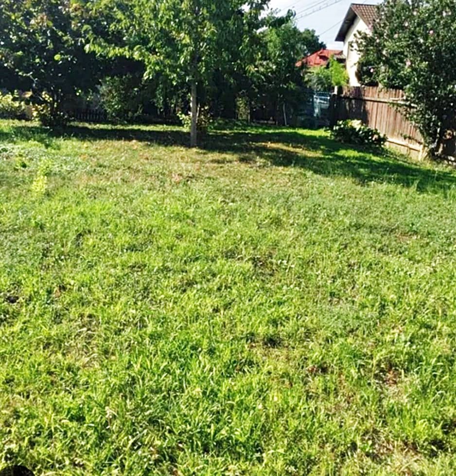 Loc de casa de 412mp in vatra satului in Sanpetru, 58000 euro - Poză 1