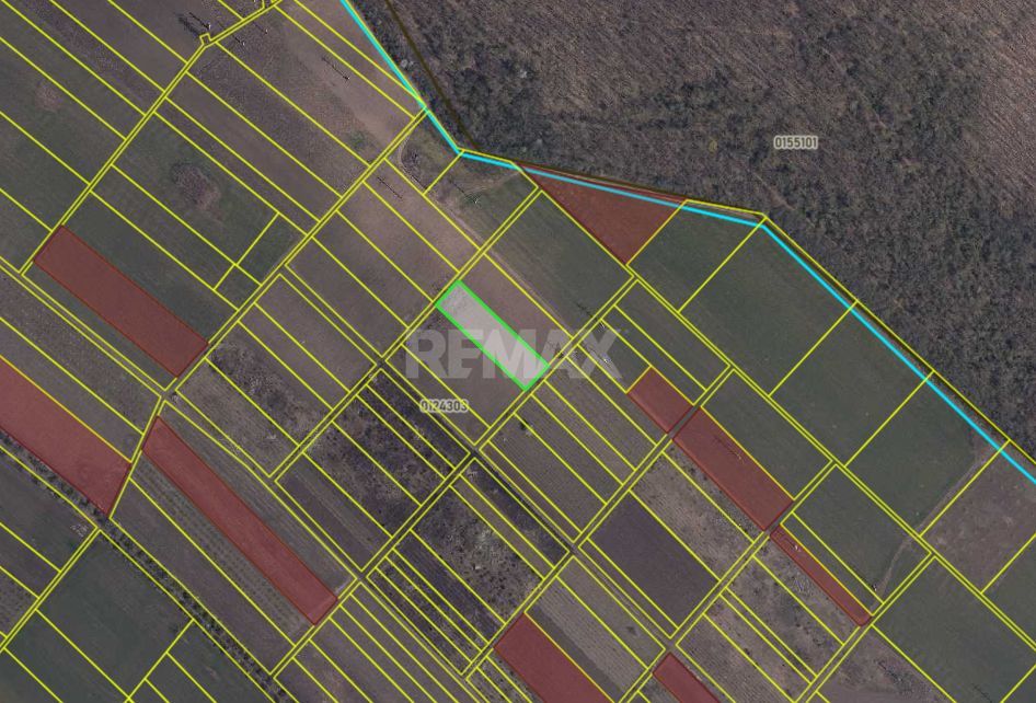 Teren agricol de 24 ari în Ghidighici – aproape de pădure, potrivit pentru investiție sau activitate agricolă - Poză 6