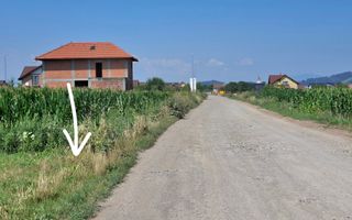 Teren Pretabil Investitie Harman - Poză 5