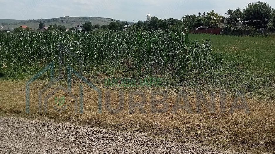 Teren intravilan de vânzare în Războieni, comuna Ion Neculce, Iași - Poză 4