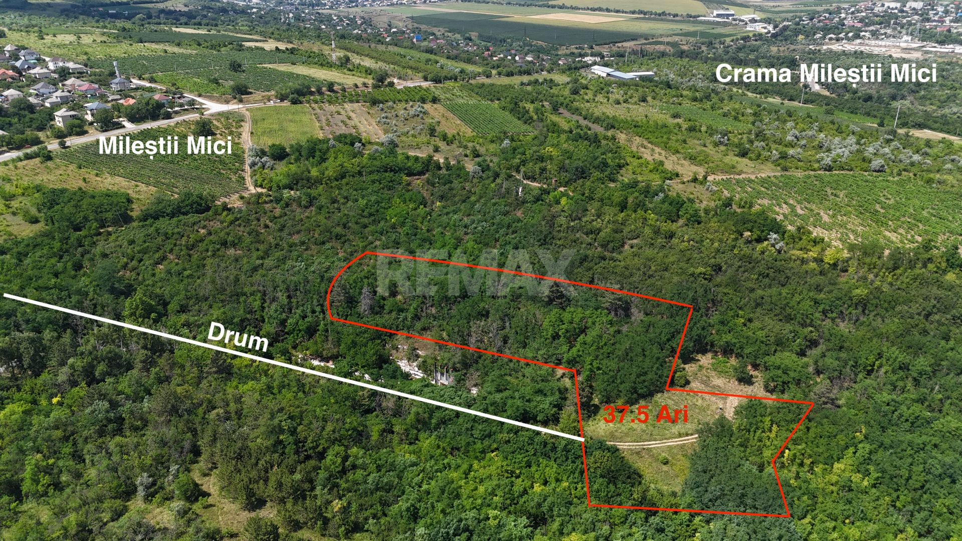 Teren de 37.5 ari în inima pădurii – Oportunitate unică de investiție lângă Crama Mileștii Mici! - Poză 1