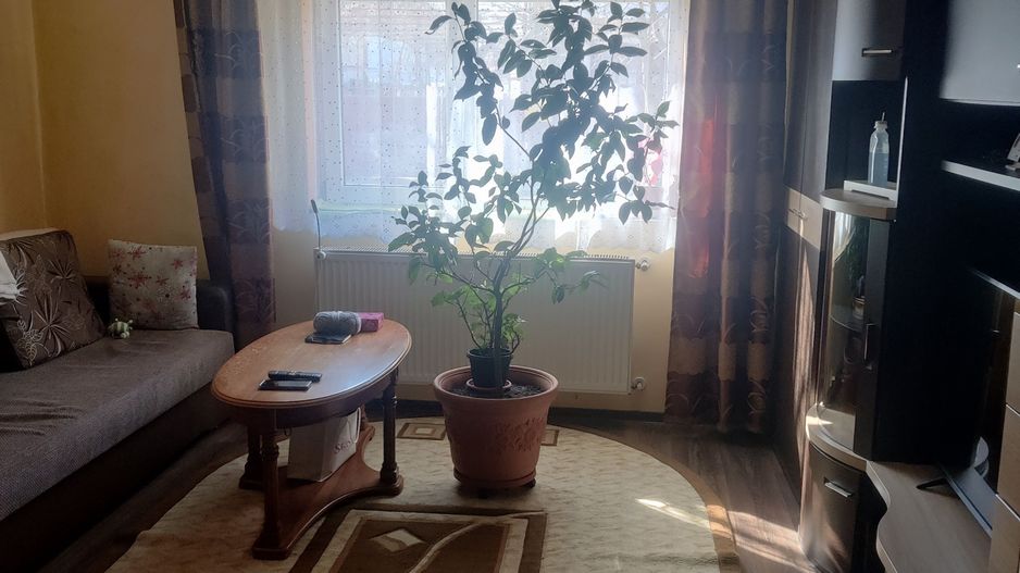 CASA CU TEREN 838 MP ZONA STEAUA - Poză 15