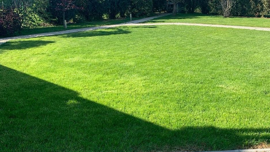 Casa individuala cu garaj  în spate la IKEA - Poză 3