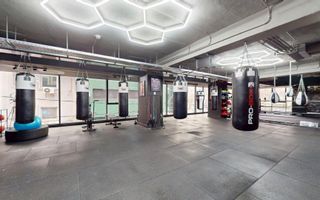 Spatiu birouri | Sala sport | Box Gym | Caranfil - Poză 1