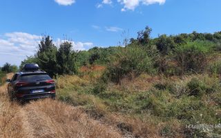 Teren 10.000 mp în Tomesti, zona Vladiceni – oportunitate de investiție - Poză 1