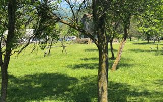 TEREN INTRAVILAN 3477 MP STOENEȘTI BĂDENI ARGEȘ - Poză 24