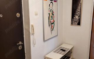 Apartament de inchiriat cu 2 camere, decomandat, et.1, TINERETULUI-PIATA NORILOR - Poză 10
