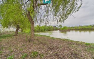 Teren 1 ha cu baltă populată – Alioș (Mașloc) - Poză 9