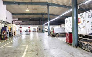 COMISION 0%, Hala productie-depozitare-service, Pantelimon- Bld. Biruintei - DN3 - Poză 14