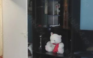 3 camere, etaj 1,confort 1, Țiglina 3 - Poză 5