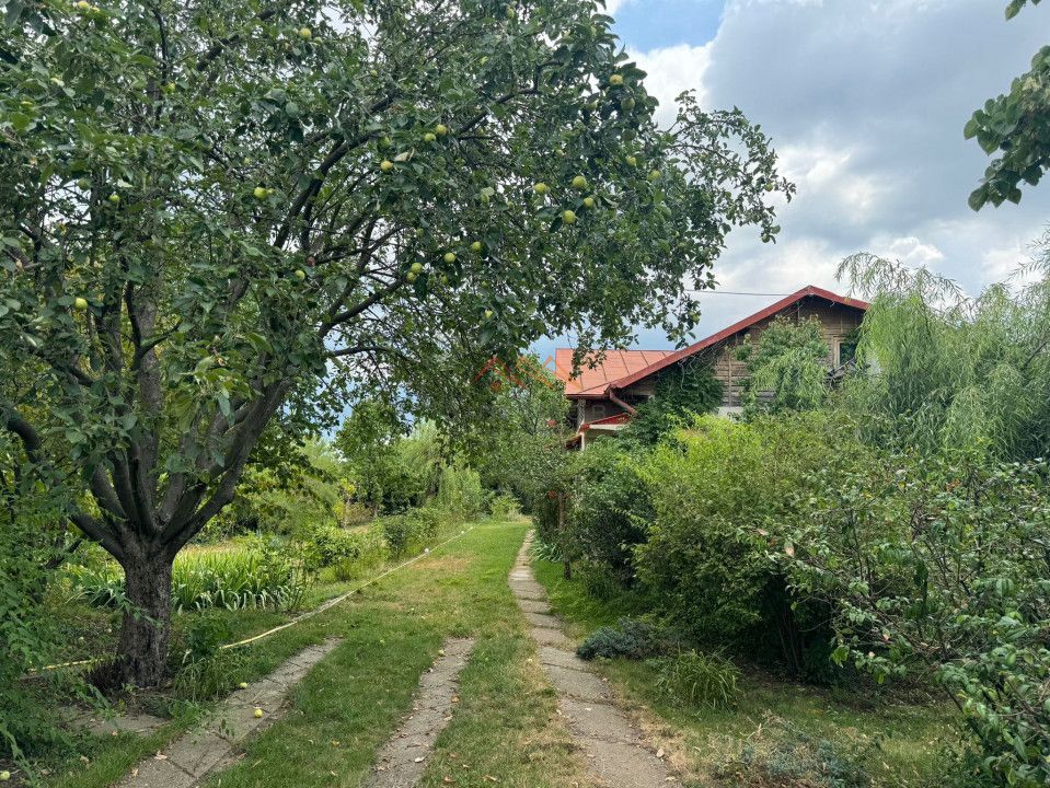 Casa 3 camere + Anexe, garaj, teren 2500 m2, an 1974, CT, Magurele, PH - Poză 1