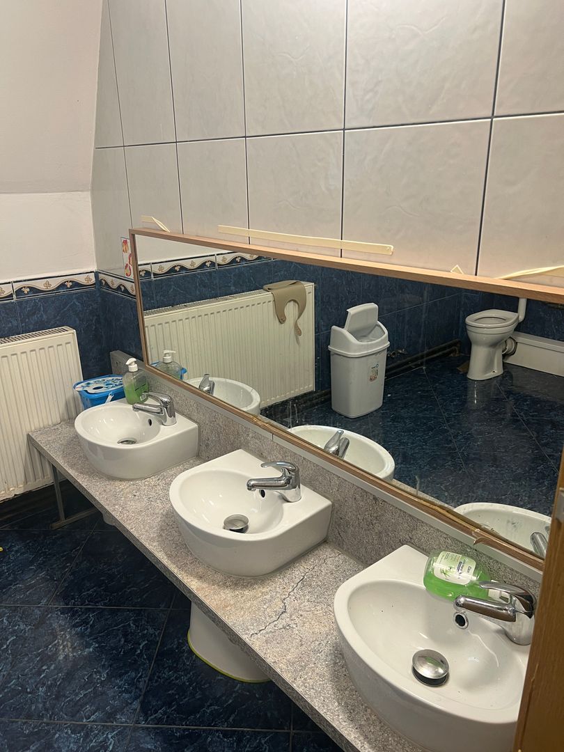 Imobil multifuncțional, 450 mp utili, teren 640 mp, Torontalului - Poză 24