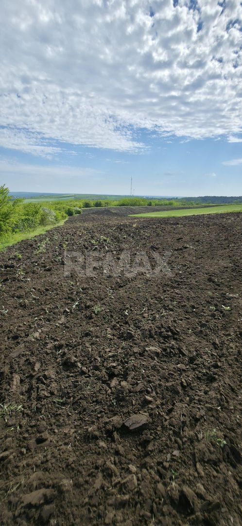 De vânzare – Teren agricol 40 ari, Cimișlia - Poză 4