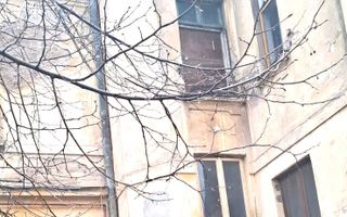 Sanctuar de Epocă: Reședință Grandioasă cu 10 Camere, Turn și Grădină - Poză 1