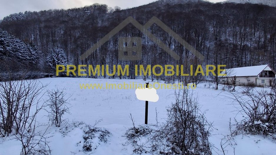 Teren intravilan de vânzare în Poiana Sărată – 2.400 mp - Poză 3