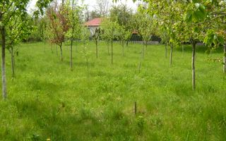 Teren de vanzare in Cornu 1183 mp - Poză 1